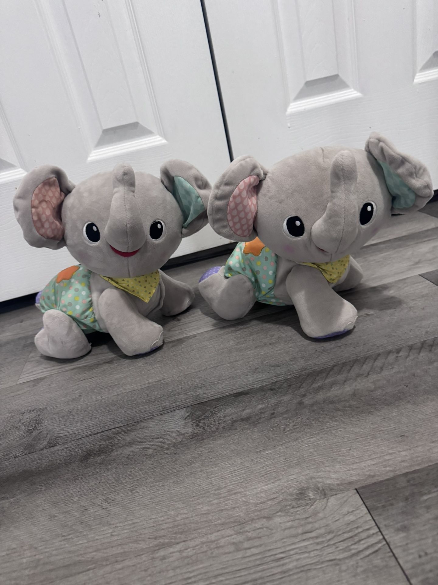 Explore N Crawl Elephants