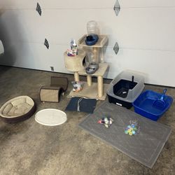 Pet Supplies “ Cat “