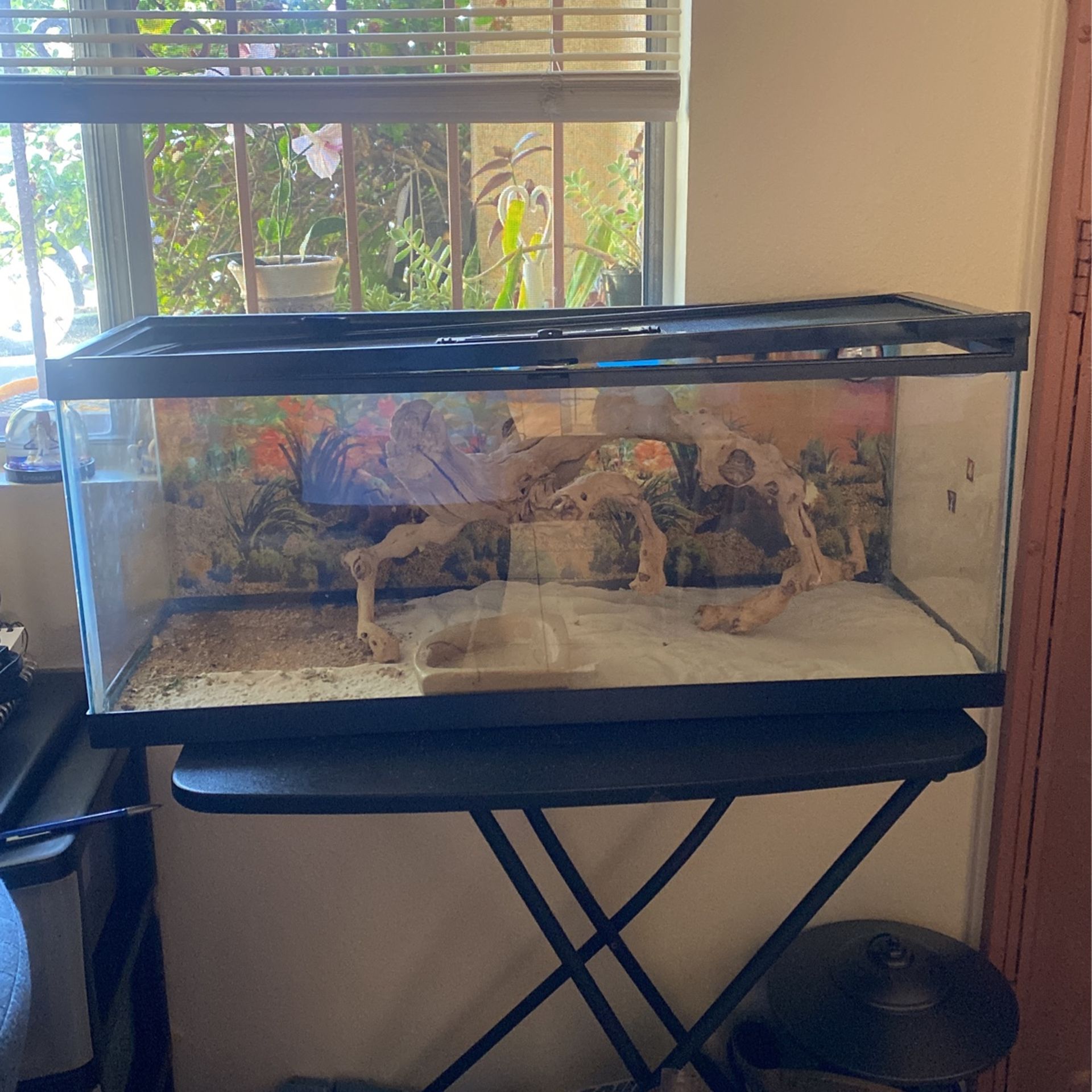 20 Gallon Reptile Tank 