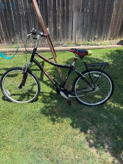 Specialized Expedition Bike