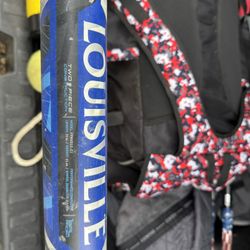 Louisville Nexus 33 in drop 12 softball bat