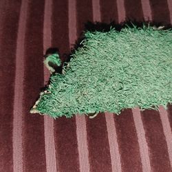 AUTHENTIC THREE RIVERS FIELD ARTIFICIAL TURF RELIC