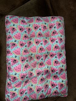 Watermelon Pet Bed