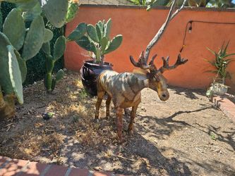 Mexican Arts Animals