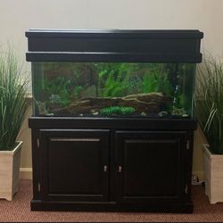 Fish Tank Stand