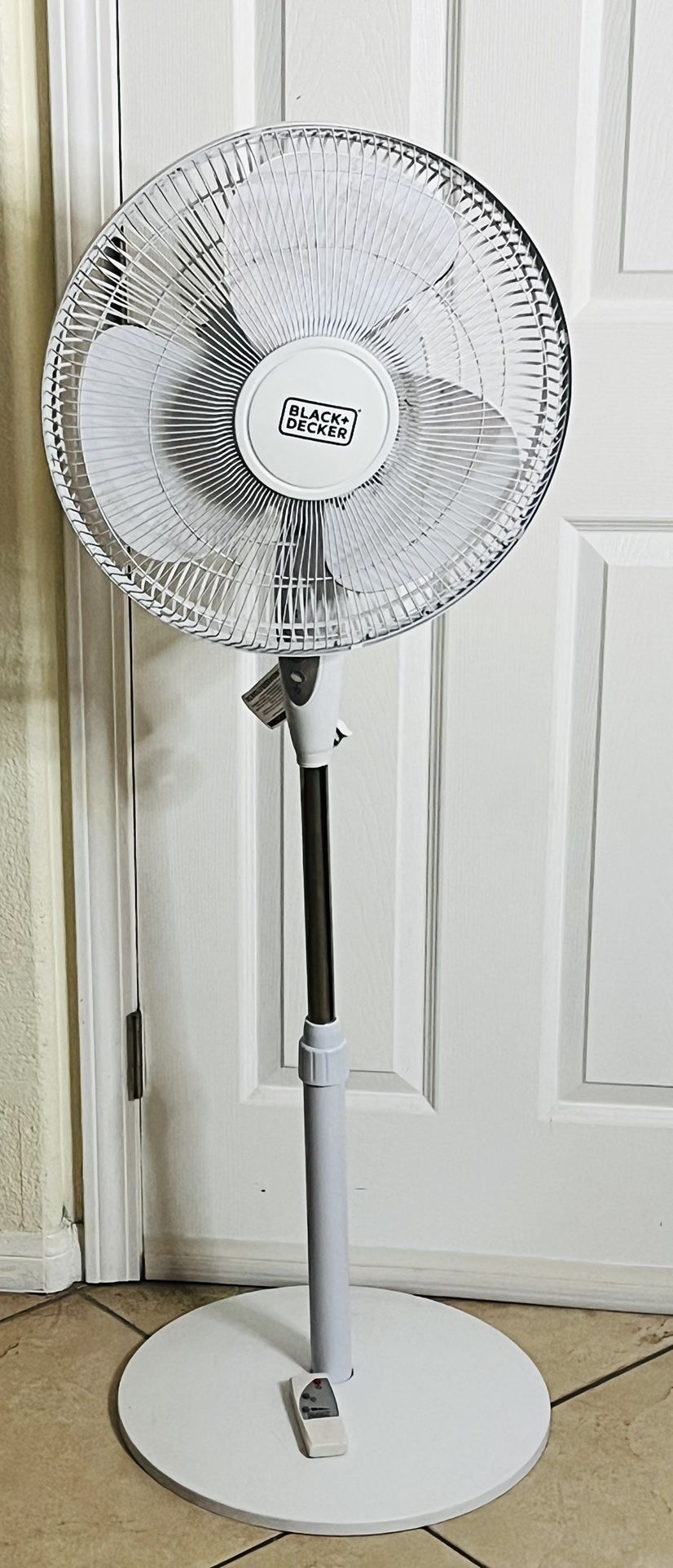 Fan