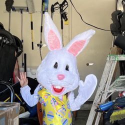 Easter Bunny Costume 
