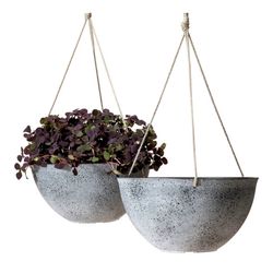 Hanging Plant Planters 