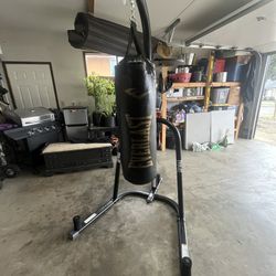 Everlast Punching Bag 