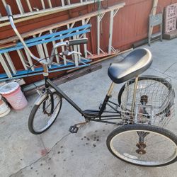 3 Wheel Bicycle 