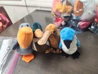 Beanie Babies Retired Birds