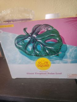 New pool inflatables