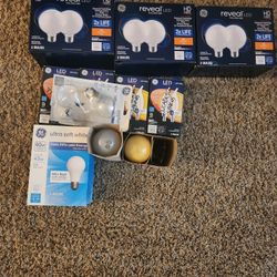 Incandescent and Halogen Light Bulbs