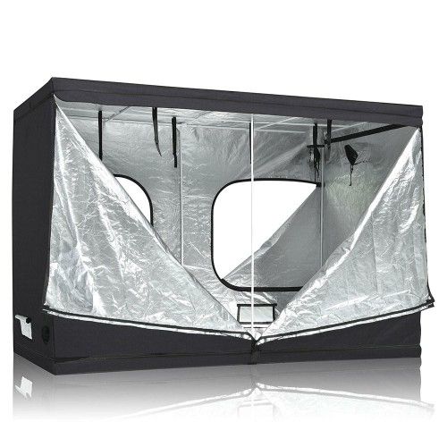 Grow Setup (Tent, Lights, Ballast)