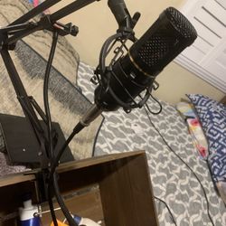 Recording Mic 