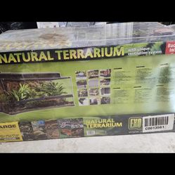 natural terrarium new