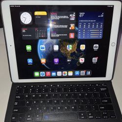 iPad Pro 12.9”  2nd Gen 256Gb  