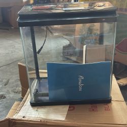 Fish Tank 