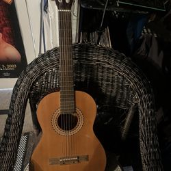 Acoustic Guitar 