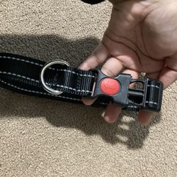 Dog Collar Size L 
