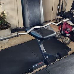Gym Bench With EZ Curl Barbell 