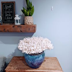 Incredible Coral Piece