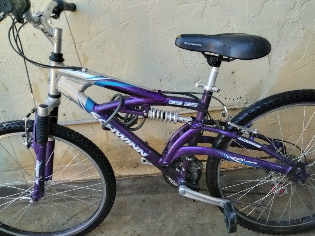 Adult Schwinn Bike