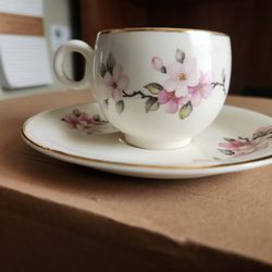 Beautiful Porcelain Tea Cup Set 