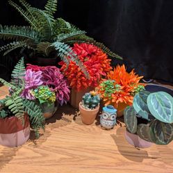 Lot of Faux Plants & Pots