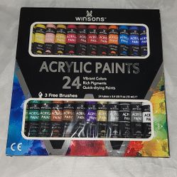 Winsons Acrylic Paints 24 Pack 3 Brushes
