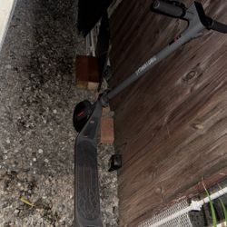 Electric Scooter 