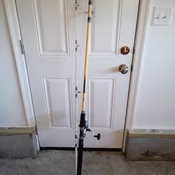10ft Fishing Rod