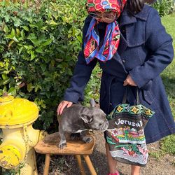 Jackets & accessories