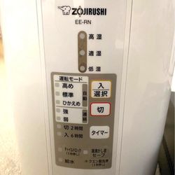 $80 Steam Humidifier 