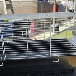 Rabbit, Hamsters, Ect Cage