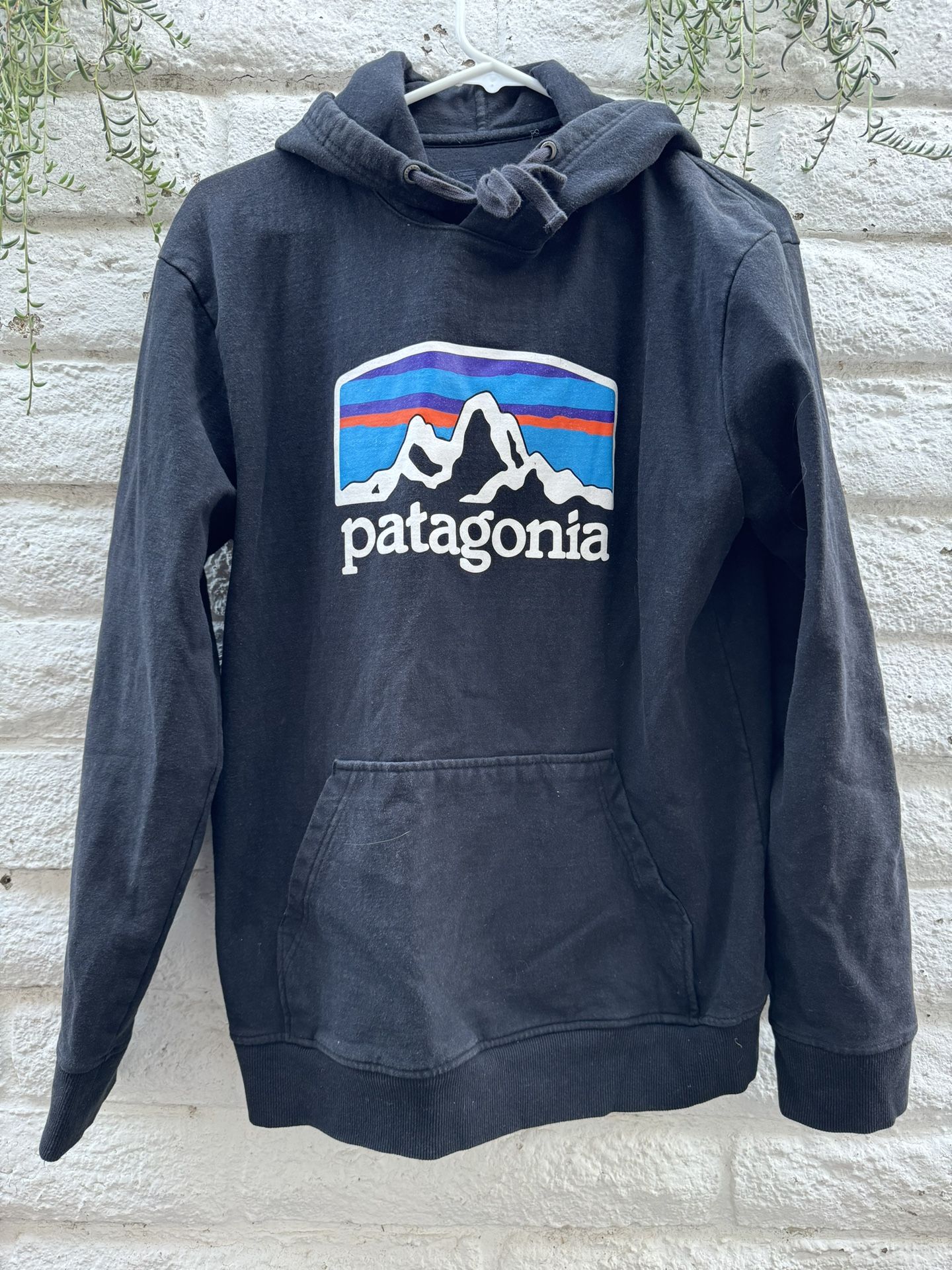 Patagonia Medium Hoodie