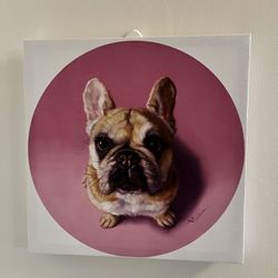 Dog on Canvas