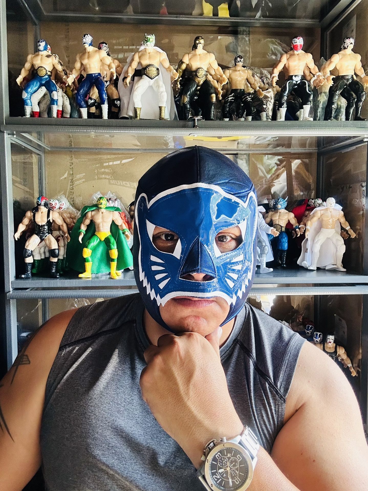 Blue Panther Lucha Libre Mask Mexican Wrestling Adult Luchador Costume  Luchadores