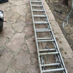 werner 40ft ladder  