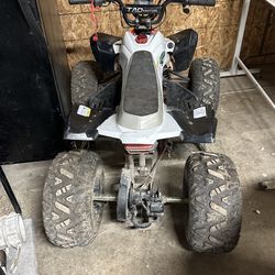 Kids 4 Wheeler
