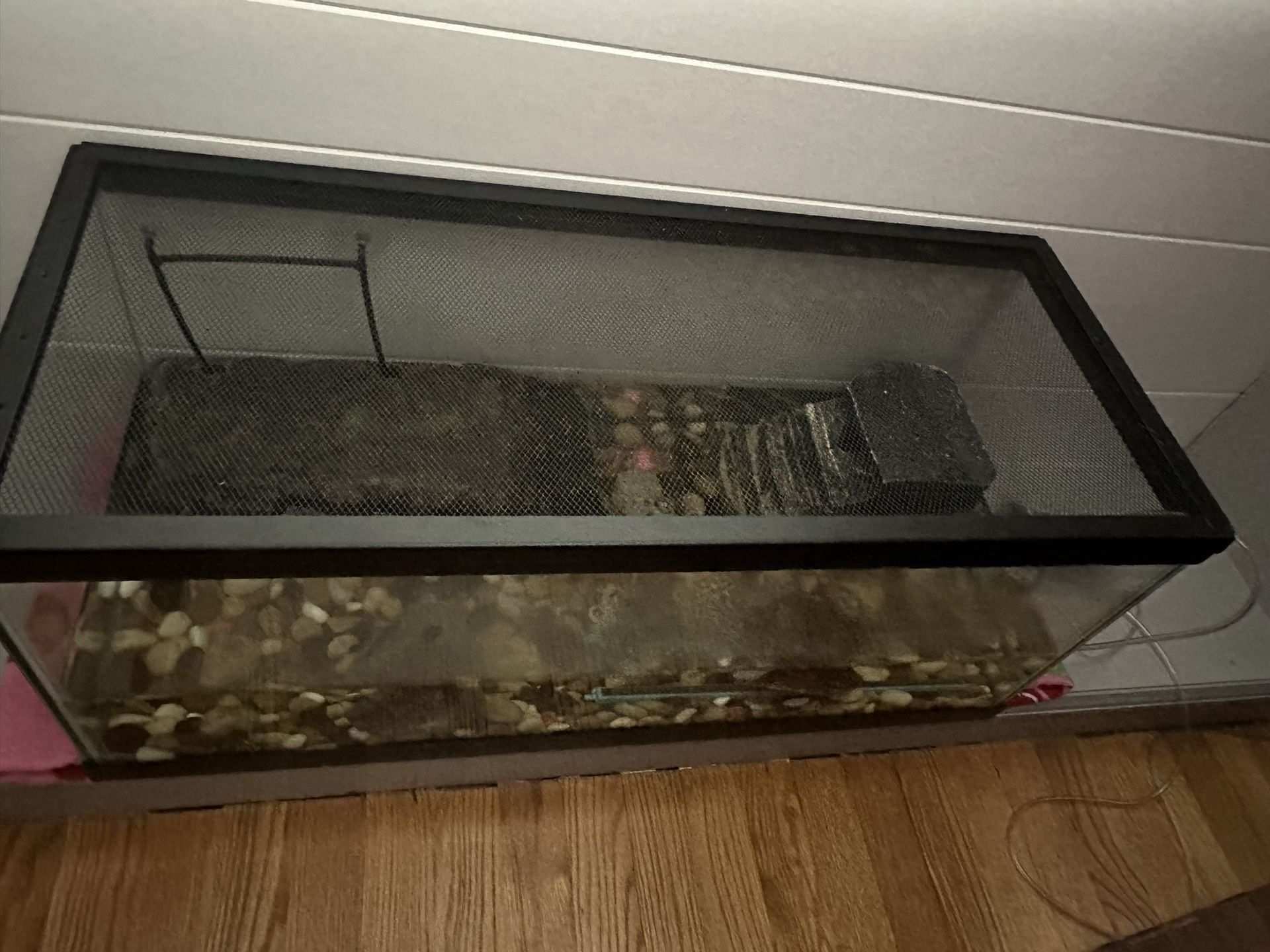 Turtle Tank And Turtles Food Also Turtle Extra Bag Of Rocks 
