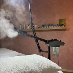 Facial Steamer