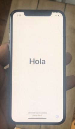 iPhone X