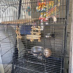 Bird Cage With Accessories 