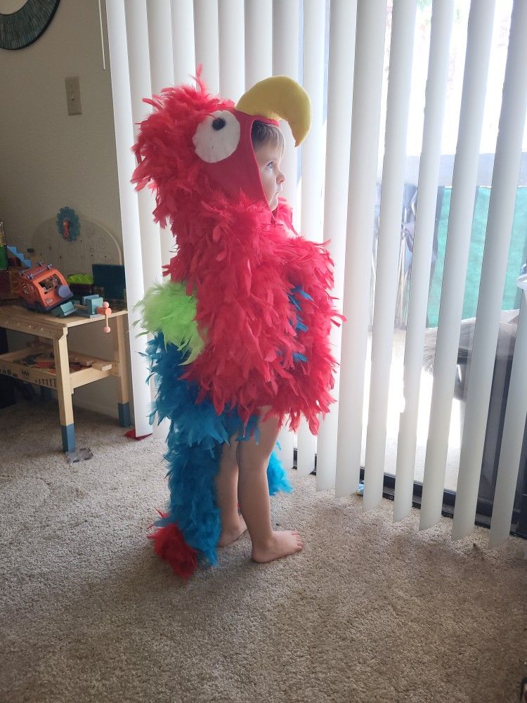 3-4t Parrot Costume
