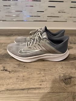 Nike Quest Running Sneakers Gray White