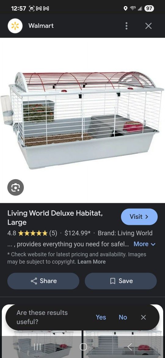 Hamster Or GUINEA Pigs, Rabbits
