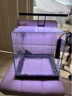 Fish tank