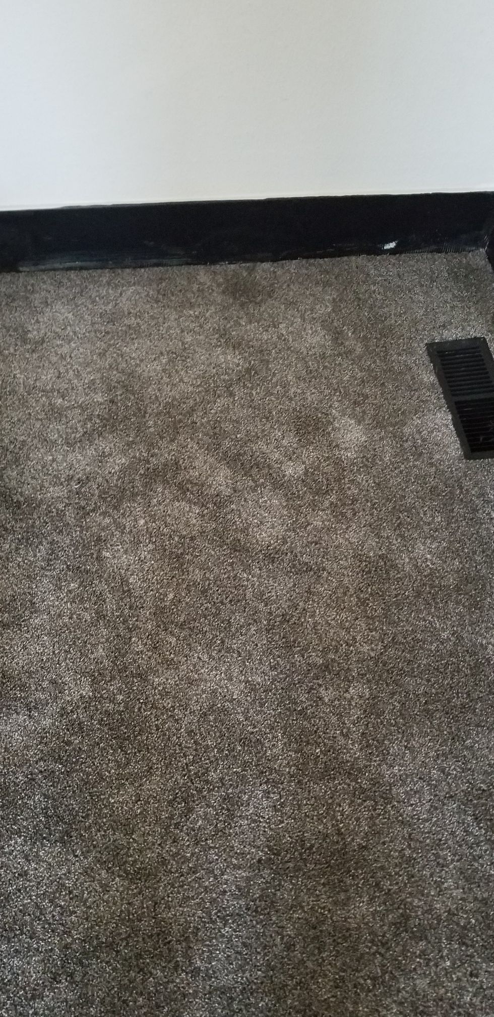 Thick plush carpet with 8 pound pad for Sale in Federal Way, WA OfferUp