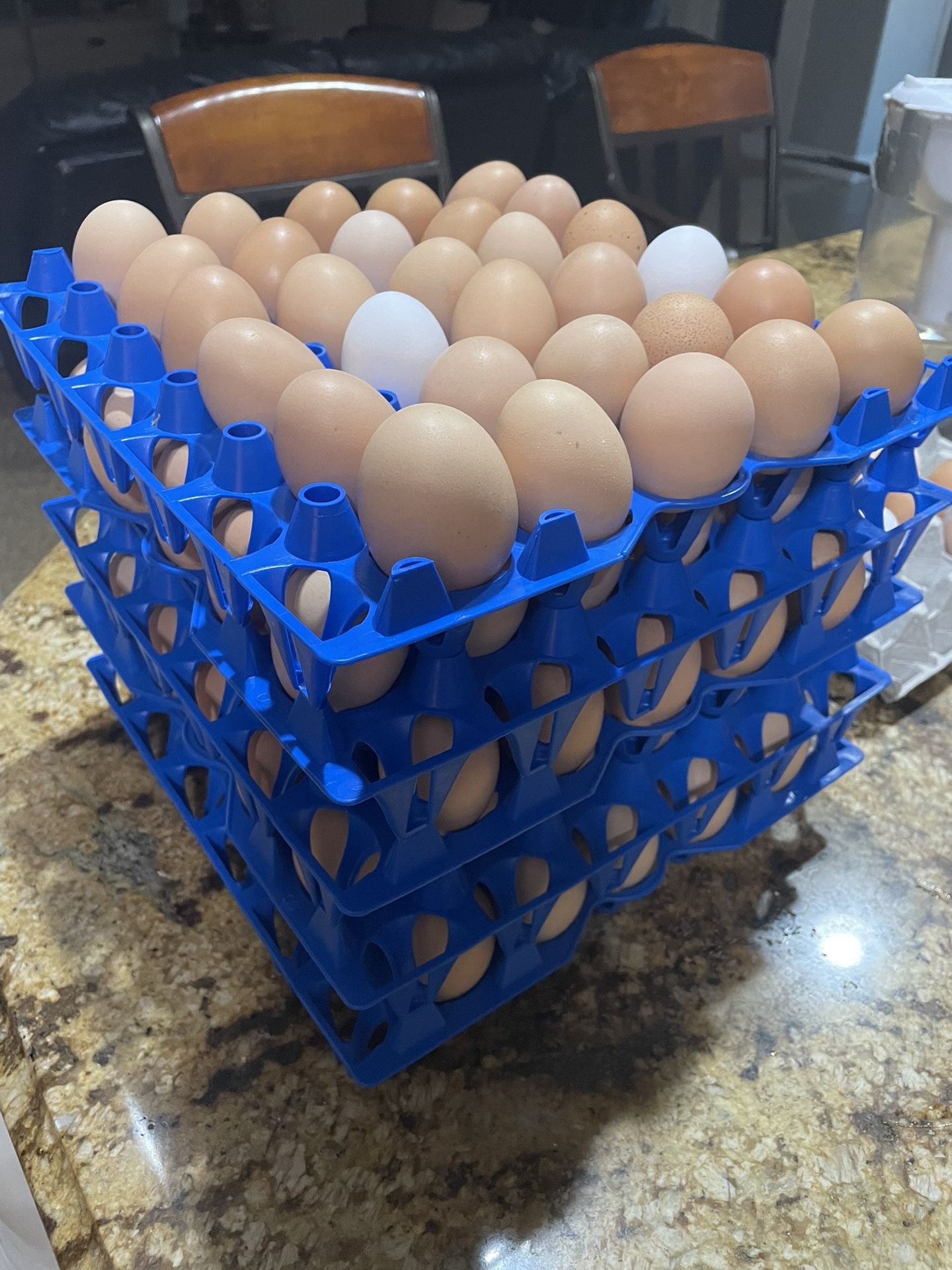 Eggs-pasture Raised
